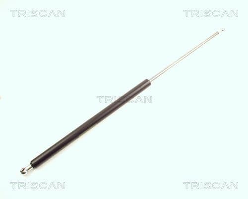 Amortizor portbagaj TRISCAN 8710 16217