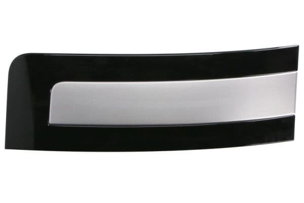 Elemente decorative/protectie, portiera BLIC 5703-04-6460572P