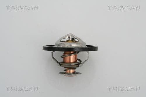 termostat,lichid racire TRISCAN 8620 13591