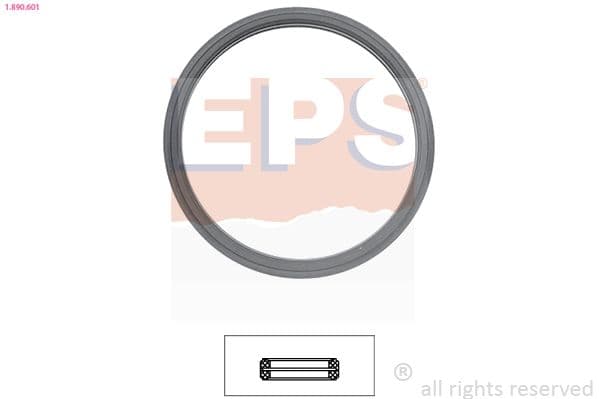 Garnitura termostat EPS 1.890.601