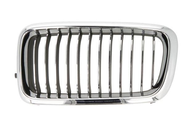 Grila radiator BLIC 6502-07-0075995PP