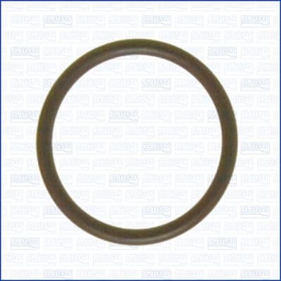garnitura,conducta lichid de racire AJUSA 16017000