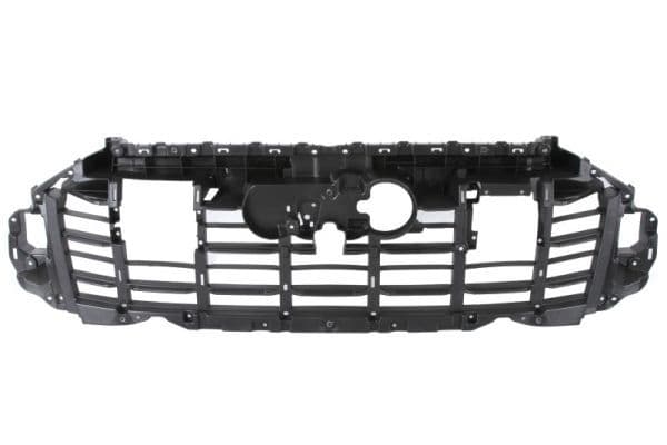 Banda de protectie, grila radiator BLIC 6502-07-0052994P