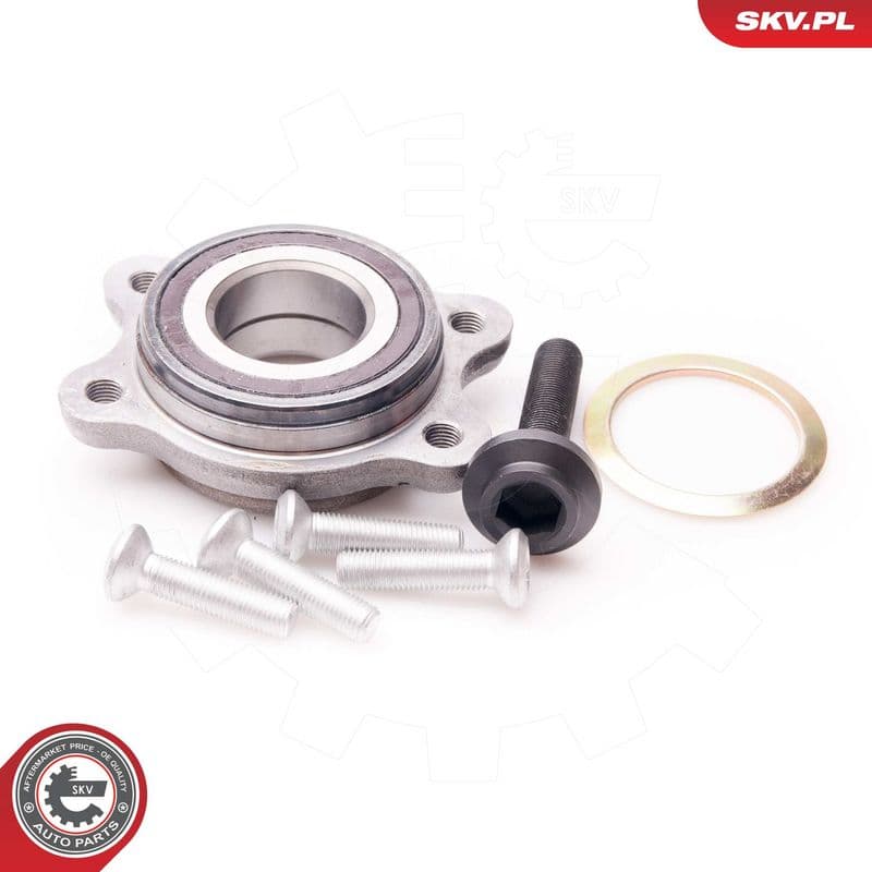 Set rulment roata ESEN SKV 29SKV095