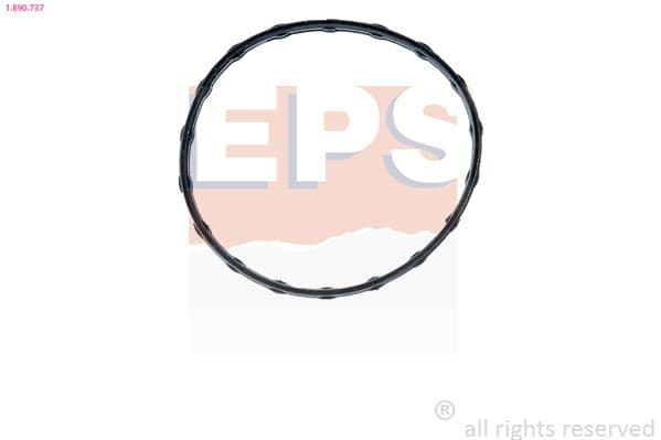 Garnitura termostat EPS 1.890.737