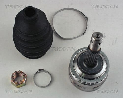 Set articulatie, planetara TRISCAN 8540 24118