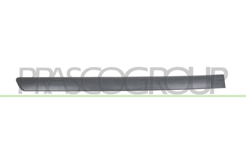 Elemente decorative/protectie, portiera PRASCO OP0171453