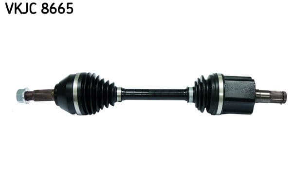 Planetara SKF VKJC 8665
