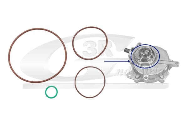 Set etansare, pompa vacuum 3RG 74706