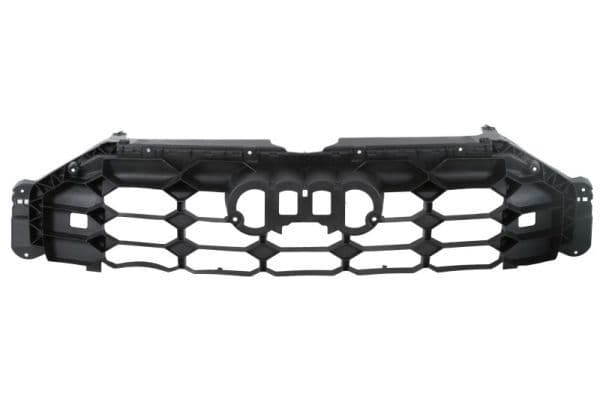 Banda de protectie, grila radiator BLIC 6502-07-0044988P