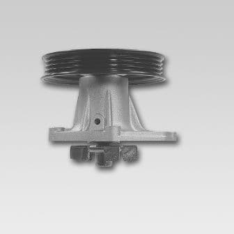 Pompă de apă, răcire motor HEPU P723P