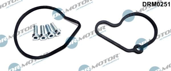 Set reparatie, pompa vacuum (Siste frana) Dr.Motor Automotive DRM0251