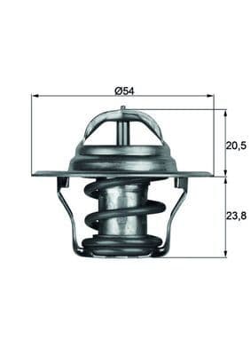 termostat,lichid racire MAHLE BEHR TX 14 80D