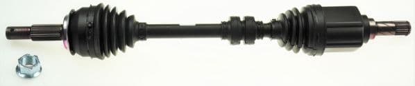 Planetara LÖBRO GKN Automotive OE-Technology 52° 306437