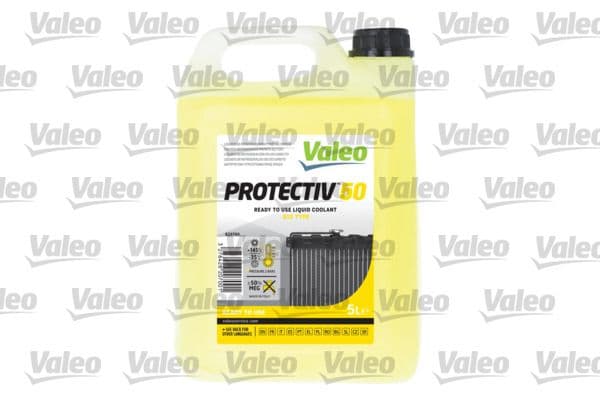 Antigel VALEO 820700
