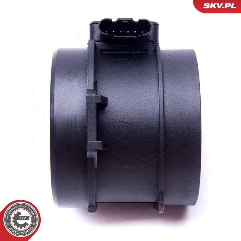 senzor debit aer ESEN SKV 07SKV169
