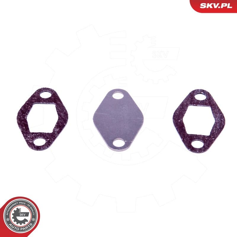 Set de reparație, supapă AGR ESEN SKV 14SKV548