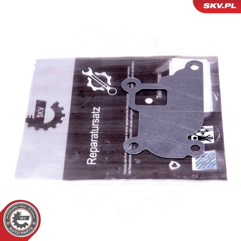 Set de reparație, supapă AGR ESEN SKV 14SKV526