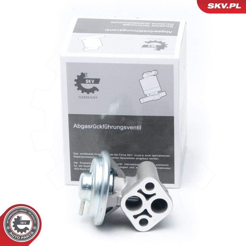 Supapa EGR ESEN SKV 14SKV104