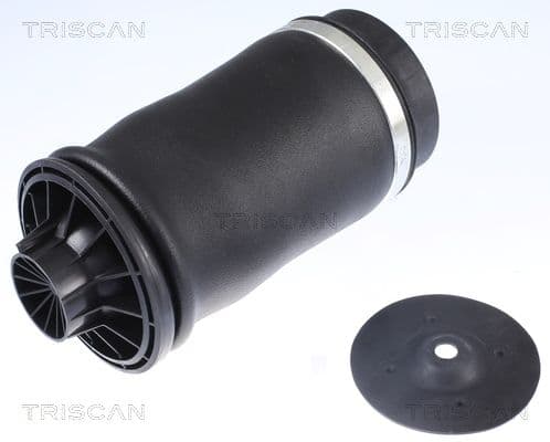 Arc pneumatic, directie TRISCAN 8720 23204