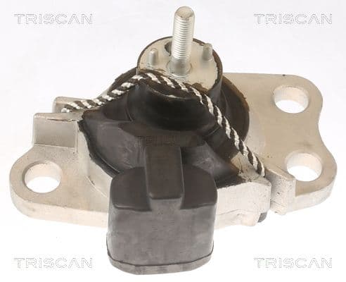 Suport motor TRISCAN 8505 25100