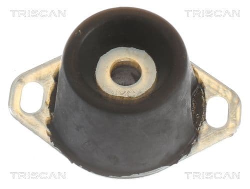 Suport motor TRISCAN 8505 10122
