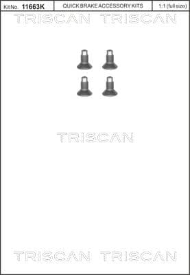 Set surub, disc frana TRISCAN 8105 116004