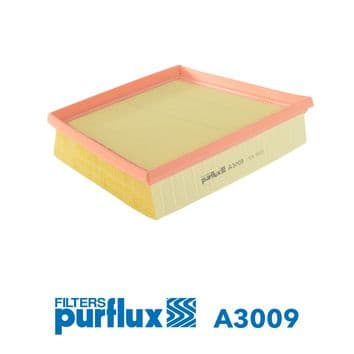 Filtru aer PURFLUX A3009