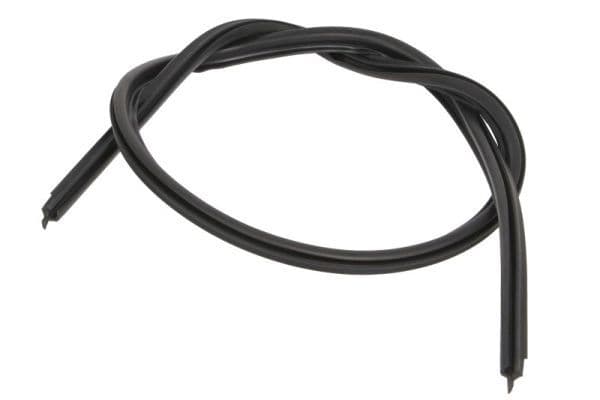 Garnitura, parbriz BLIC 5703-04-6038016Q