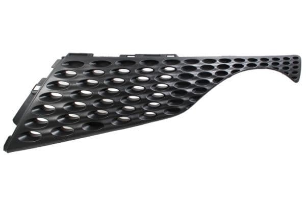 Grila radiator BLIC 6502-07-1601991P