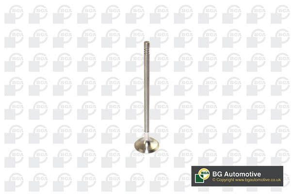 Supapa evacuare BGA V591702