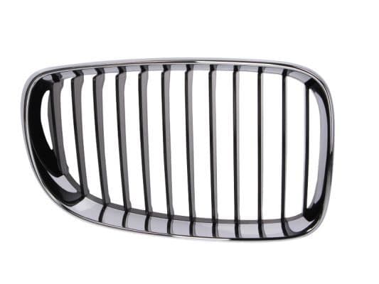 Grila radiator BLIC 6502-07-0085992PP
