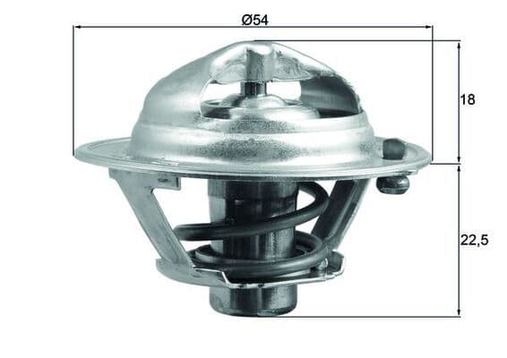 termostat,lichid racire MAHLE BEHR TX 166 90D