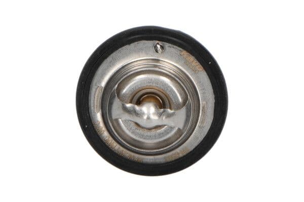 termostat,lichid racire KAVO PARTS TH-8503