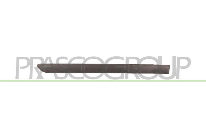 Elemente decorative/protectie, portiera PRASCO VG0361453