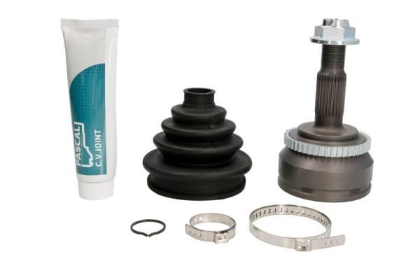 Set articulatie, planetara PASCAL G1V001PC