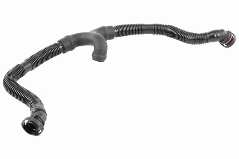 furtun,aerisire bloc motor VAICO Original Quality V10-3696