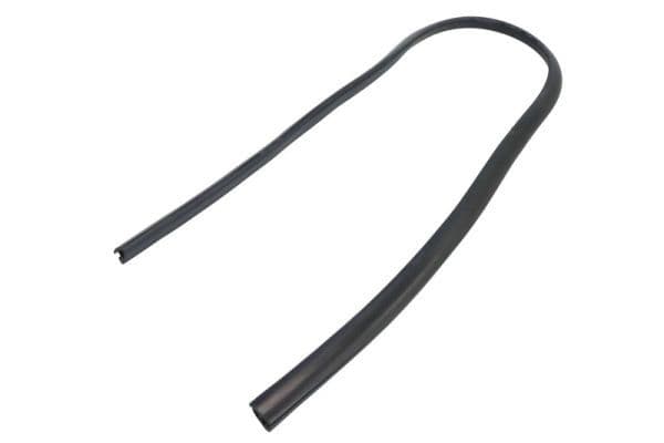 Elemente decorative/protectie, parbriz BLIC 5703-04-6037588Q