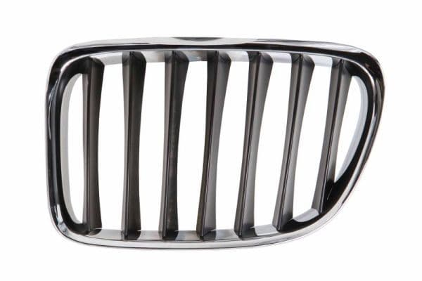 Grila radiator BLIC 6502-07-0092991P