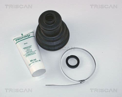 Ansamblu burduf, articulatie planetara TRISCAN 8540 10804