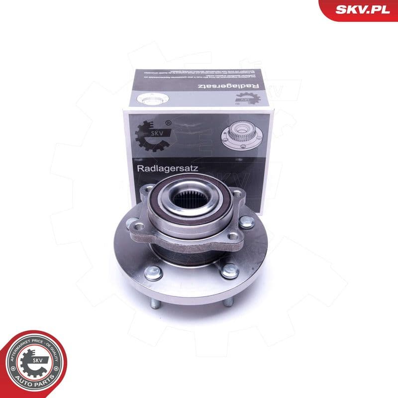 Set rulment roata ESEN SKV 29SKV393