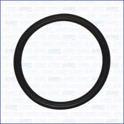 Garnitura, conducta lichid de racire FCA OE 5801920151