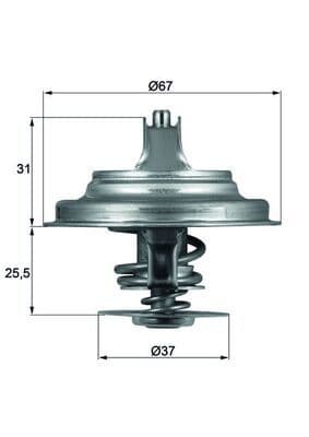 termostat,lichid racire MAHLE BEHR TX 25 71D