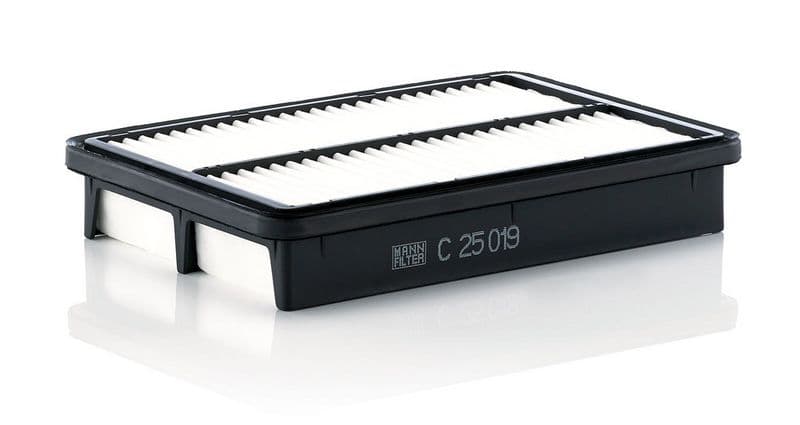 Filtru aer MANN-FILTER C 25 019