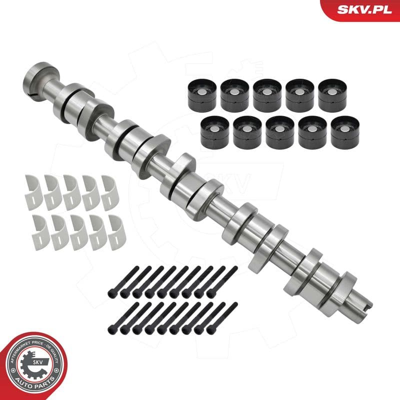 Set ax cu came ESEN SKV 80SKV305