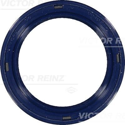 Simering, ax cu came VICTOR REINZ 81-53454-00