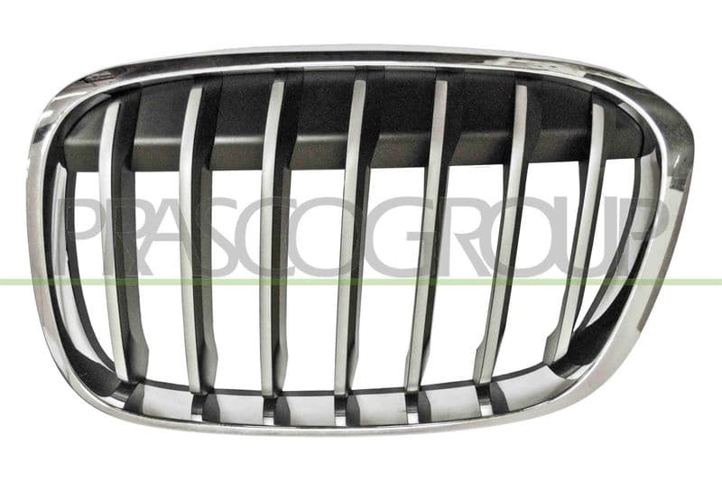 Grila radiator PRASCO BM7062014