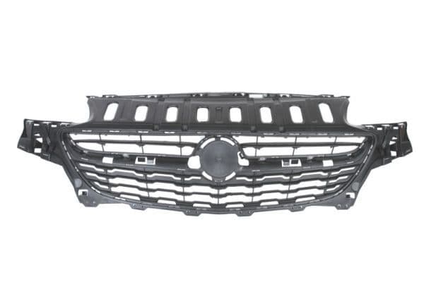 Grila radiator BLIC 6502-07-5025990Q