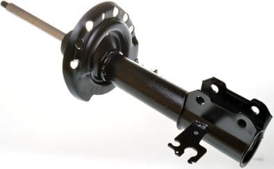 amortizor DENCKERMANN DSB050G