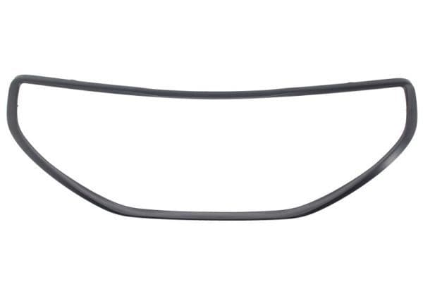 Banda de protectie, grila radiator BLIC 6502-07-5509997P
